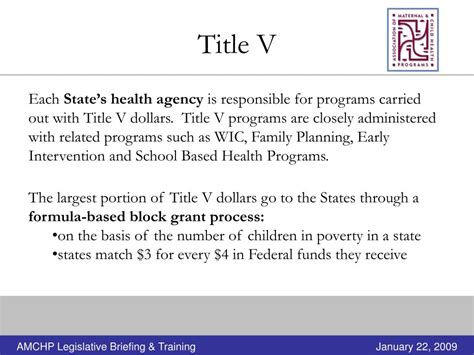 Ppt About The Title V Maternal And Child Health Block Grant