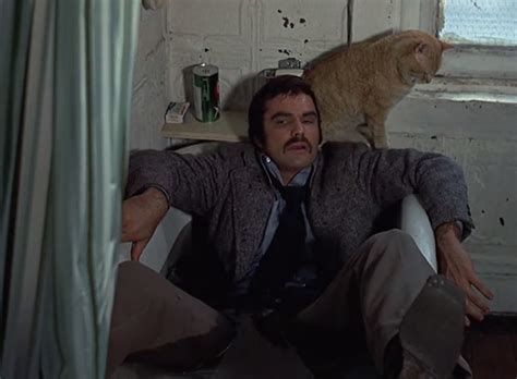 Shamus 1973 Cinema Cats