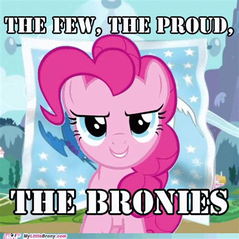 The Few The Proud The Bronies Mlp My Little Pony My Little Pony