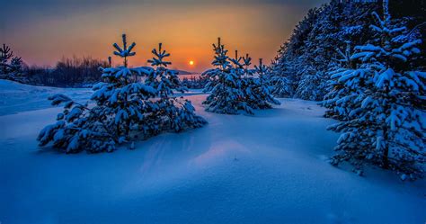 Landscape Snow Winter Trees Nature Sunset Cold Sea Blue Russia