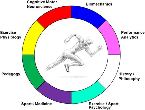 Optimization of Human Performance in: Kinesiology Review Volume 9 Issue ...