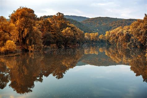 Calm River And Forest In Autumn Colors Autumn Landscape Stock Photo