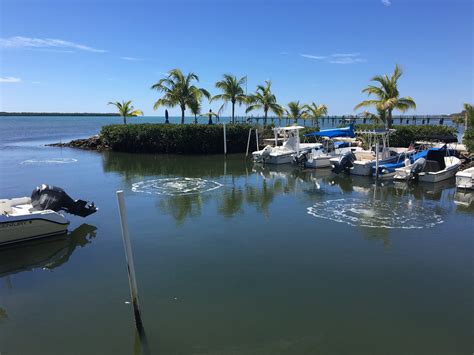 Ocean Cove Harbor Aeration In Tavernia Florida Keys Aeration