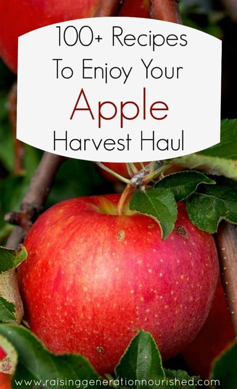 Enjoying The Apple Harvest 100 Apple Recipes The Prairie Homestead