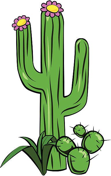 Saguaro Cactus Clip Art Vector Images And Illustrations Istock