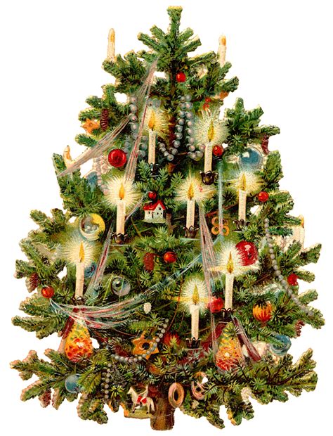 Collection of christmas trees png (23). Christmas Tree | Wings of Whimsy