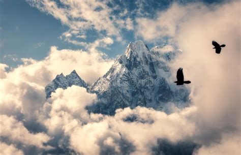 Flying Birds Against Mountain With Snowy Peak In Clouds Stock Image