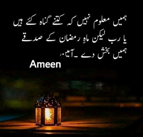 Pin By Ayaz Ali Soomro On Lifequotes In 2022 Life Quotes Arabic
