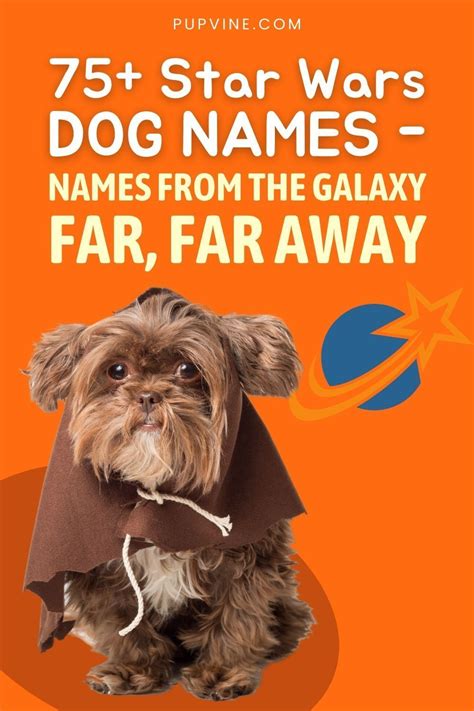 75 Star Wars Dog Names Names From The Galaxy Far Far Away Dog
