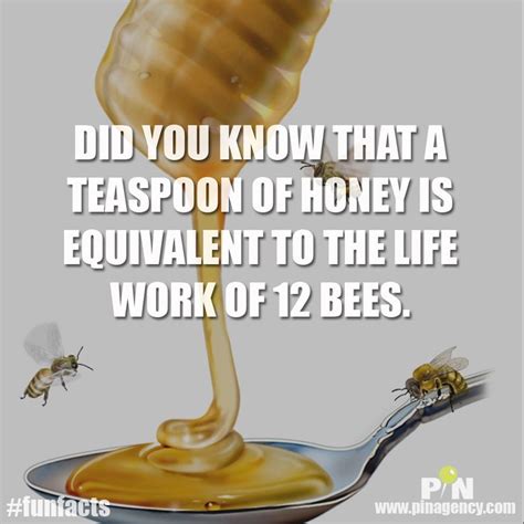 A Spoon Full Of Honey And Some Bees On It With The Words Did You Know