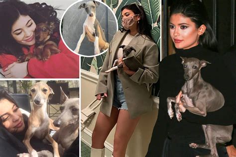 Kylie Jenners Long List Of Pups Including Norman Bambi Wesley Penny