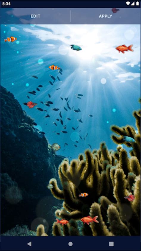 Ocean Fish Live Wallpaper 4k Apk для Android — Скачать