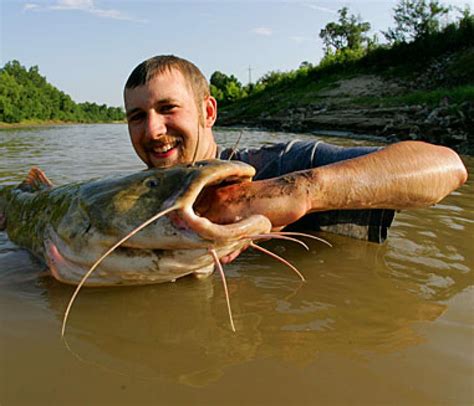 Noodling For Catfish In The Usa Survival Fishing Catfish Fishing