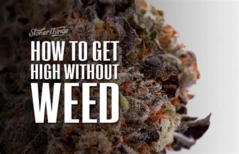 How To Get High Without Weed Stoner Things