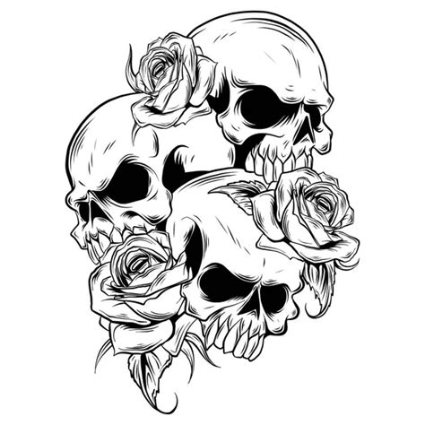 Skulls Roses White Background Stock Vector Image By ©deanzangirgmail