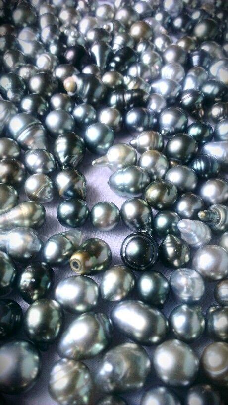 Blackpearls From Manihiki Cook Islands Photo By Anne Kauvai