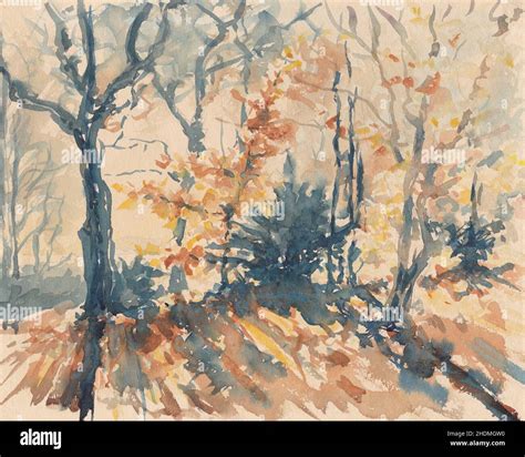 Forest Autumn Watercolor Painting Forests Wood Woodland Woods