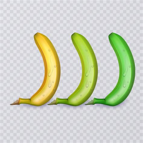 Premium Vector Set Of Three Bananas Ripe Medium Ripe And Not Ripe