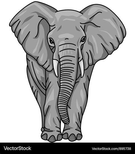 African Elephant Royalty Free Vector Image Vectorstock
