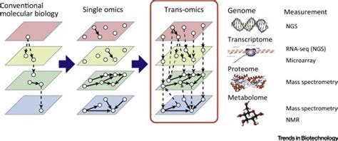 Trans Omics How To Reconstruct Biochemical Networks Across Multiple