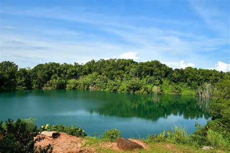 Rainforest Lake Reflections Stock Image Image Of National Jungle