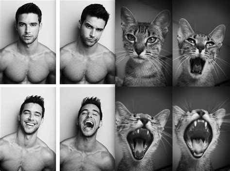 Des Hommes Et Des Chatons Kittens Cutest Cats And Kittens Cute Cats Funny Cats Poses For