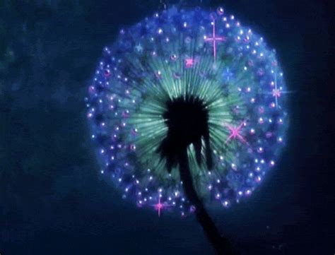 Cute Animated  Glowing Flowers Dandelion Animation