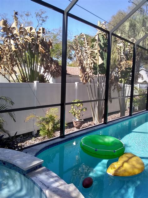 Benefits And Disadvantages Of Swimming Pool Screen Enclosures Pool