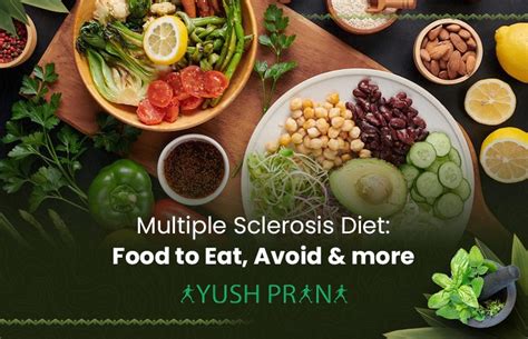 Multiple Sclerosis Diet Food To Eat Avoid And More Ayush Prana