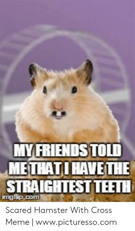 Scared Hamster Meme Hd