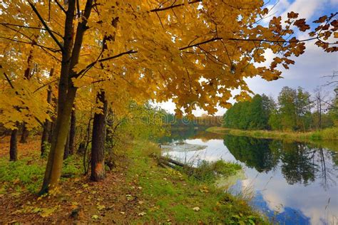 Autumn Scene On River Stock Photo Image Of Scenic Rural 36127338