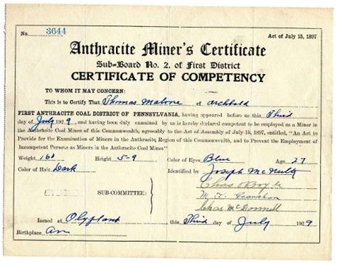1299 ~ 1929 Anthracite Coal Miner Certificate Of Competency Olyphant