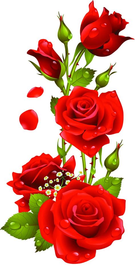 Red Roses Vector Kyrmyzy Gul Png Resimler Png Kyrmyzy Gul Clip Art