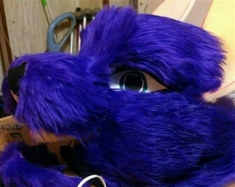 From wikifur, the furry encyclopedia. Pin on furries!!! my own personal suite and head