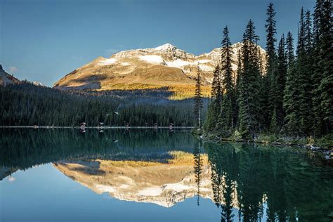 Lake Ohara Autumn Reflection Photograph By Pierre Leclerc Photography