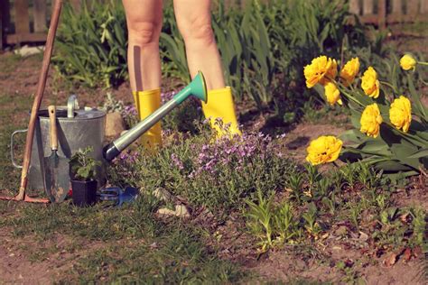 S Best Cities For World Naked Gardening Day Lawnstarter