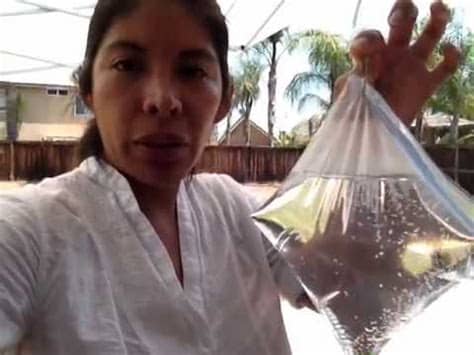 Our top tricks to get rid of flies in the chicken coop. Getting rid of outdoor flies - YouTube
