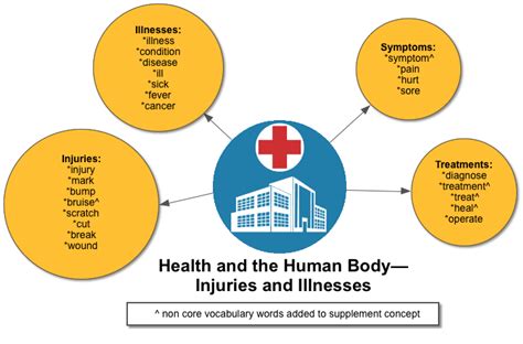 You can learn health and illnesses vocabulary in english in this online vocabulary lesson you can study health and illnesses vocabulary with many activities. Health and the Human Body » TextProject