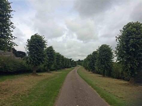 Tree Lined Drive And Footpath In The © Steve Fareham Cc By Sa20