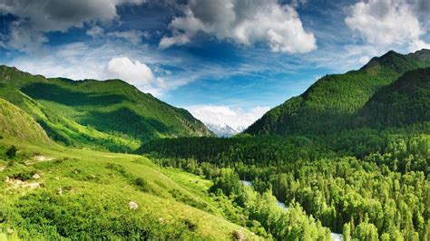 Free Download Green Mountains Wallpapers Hd Wallpapers 1920x1080 For