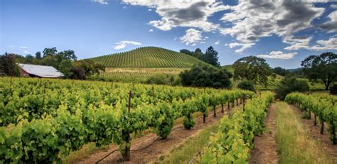 The 10 Best Wineries In Sonoma Valley To Visit Choice Wineries