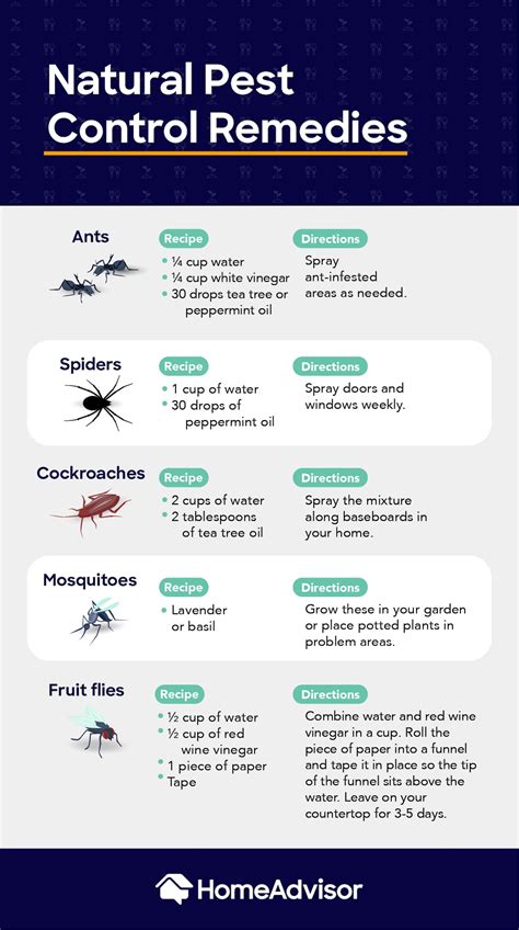 Best Natural Pest Control Remedies Infographic Greener Ideal