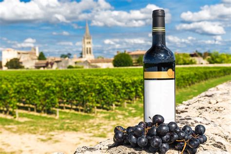 포도밭 갈아엎고 공업용 전환하고 위기에 빠진 프랑스 와인