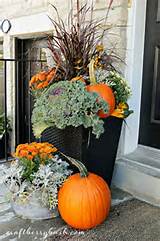 Photos of Fall Flowering Plants For Containers