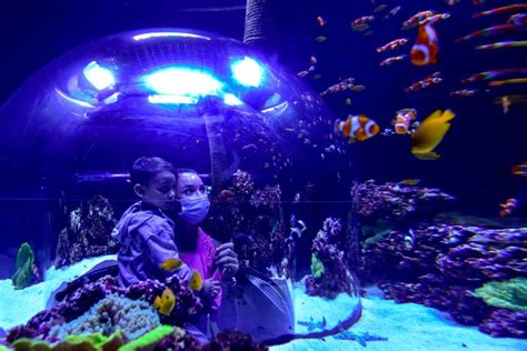 Look Inside Abu Dhabis National Aquarium Largest In The Middle East