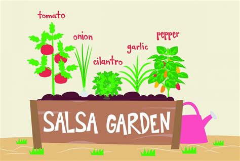 Grow An Amazing Salsa Garden Sunny Home Gardens