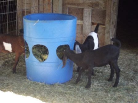 Buy hay rack and get the best deals at the lowest prices on ebay! Pin by Goat Veterinary Consultancies - goatvetoz on Goat Husbandry Tools I Love | Goats, Goat ...