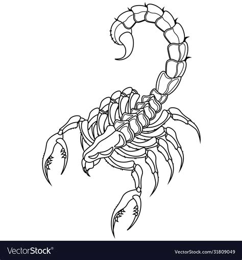 Free Printable Scorpion Coloring Pages