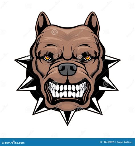 Angry Pitbull Head Stock Vector Illustration Of Mammal 142498822