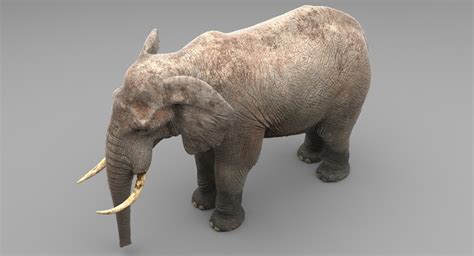 3d Realistic Elephant Model